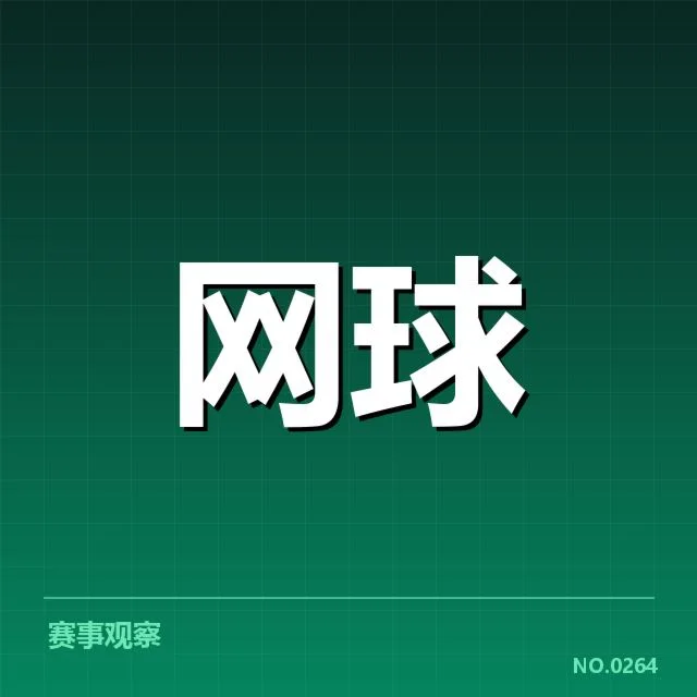 已确认的新星表现与赛程安排